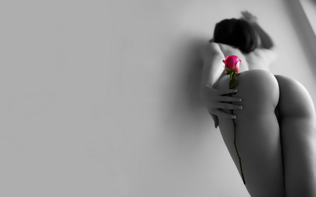 1680x1050 pix. Wallpaper ass, nude, models, brunettes, women, roses