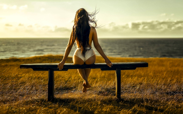 1920x1200 pix. Wallpaper women, brunette, topless, white panties, ass, back, outdoors, wind, sitting, sea
