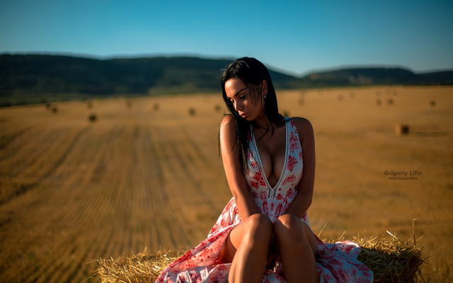 1958x1305 pix. Wallpaper dress, sitting, outdoors, cleavage, boobs, tanned, hot, hay
