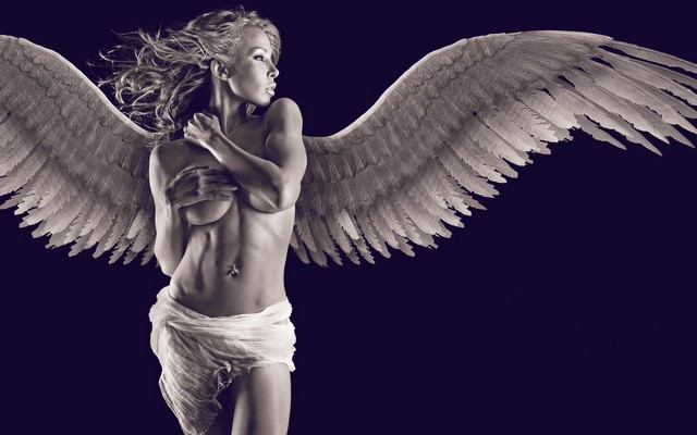 2560x1600 pix. Wallpaper girl, model, angel, wings