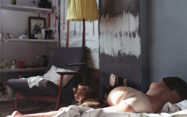 2048x1353 pix. Wallpaper ass, panties, cat, in bed, topless, back, white panties