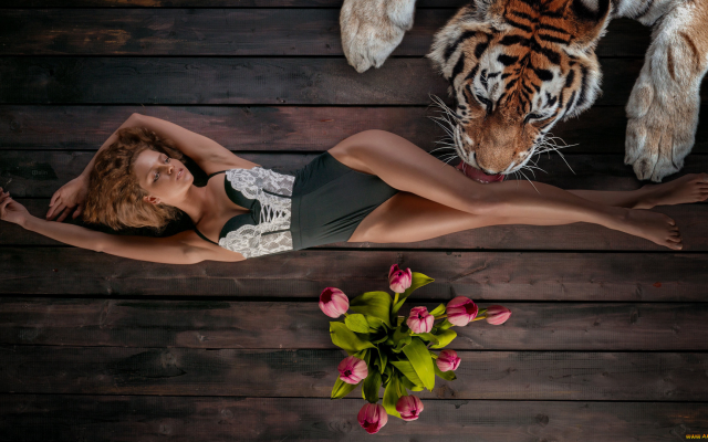 1920x1080 pix. Wallpaper redhead, legs, long legs, tanned, tiger, siberian tiger, bodysuit