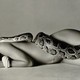 girl, nice, snake, erotic, zmeya wallpaper