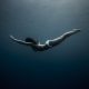 dark, underwater, bikini, legs wallpaper
