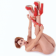natasha udovenko, sexy, legs up, red heels, high heels, ass, pussy, tits, boobs wallpaper