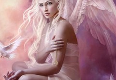 angel, wings, goluby, medalyon wallpaper
