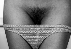 panties, trimmed pussy, hairy, haired pussy, pussy, panties down wallpaper