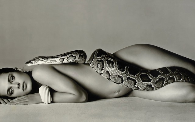 1920x1080 pix. Wallpaper girl, nice, snake, erotic, zmeya