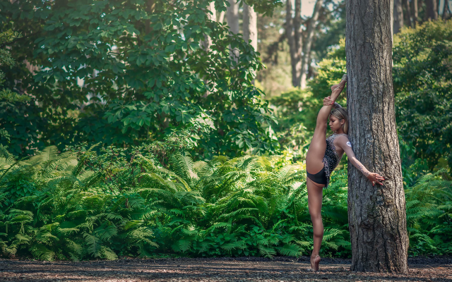 2000x1125 pix. Wallpaper gymnast, outdoors, tree, forest, legs, spreading legs