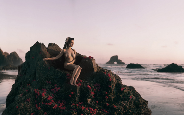 1920x1080 pix. Wallpaper tits, boobs, beach, rock, sea, flowers, nude