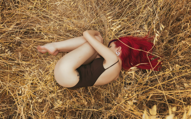 2048x1365 pix. Wallpaper fetal position, redhead, one-piece, barefoot, field, ass, hay