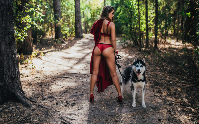 2560x1707 pix. Wallpaper dasha mijailova, ass, high heels, red lingerie, red heels, tree, back, outdoors, dog, red panties