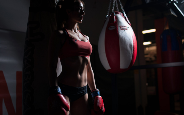 2560x1709 pix. Wallpaper punching bag, sportswear, belly, boxing gloves, tanned, gym