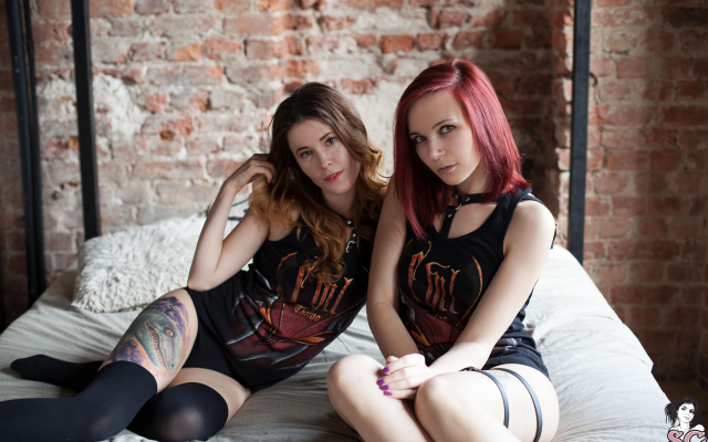 5616x3744 pix. Wallpaper suicide girls, anoukevil, ivylina, tattoo, legs, in bed, stockings