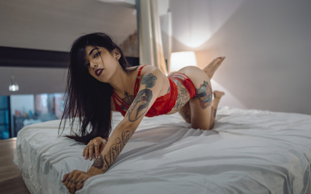 2048x1152 pix. Wallpaper tattoo, brunette, in bed, red lingerie, ass, eyeliner