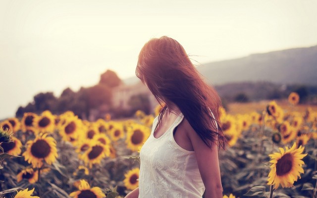 1920x1200 pix. Wallpaper girl, field