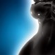 boobs, women, nipples, gray, blue, statues wallpaper