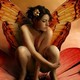 girl, nude, flower, art, wings, boghyya korovka wallpaper