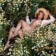 anastasia zhilina, hot, small tits, hat, legs, chamomiles, flowers, skinny, ribs wallpaper