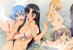 nude, blue eyes, wings, green eyes, holding boobs, anime girls, queens blade, long ears wallpaper