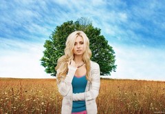 blonde, girl, field, tree wallpaper