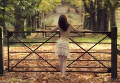 skirt, brunette, autumn, fence wallpaper
