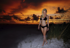 bikini, beach, sunset, girl, black bikini wallpaper