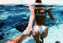 alexis ren, bikini, ass, wet, underwater, fish, non nude wallpaper