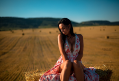 dress, sitting, outdoors, cleavage, boobs, tanned, hot, hay wallpaper