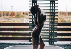 nude, wet body, back dimples, tanned, shower, water, wet hair, ass, boobs, hands on boobs. wet wallpaper