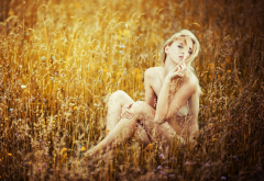 naked, blonde, outdoor, field, legs wallpaper