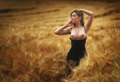 sophia, field, outdoor, boobs, big tits, nipples, black dress, tits out wallpaper