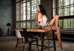 evgenia talanina, brunette, black panties, table, chair, tattoo, looking away, sitting, window, big boobs, busty wallpaper