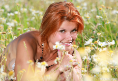 dina p, violla a, redhead, naked, smiling, flowers, field wallpaper
